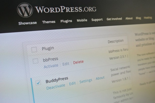 WordPress